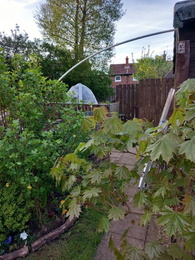 Вилла Waveney Белфаст Экстерьер фото